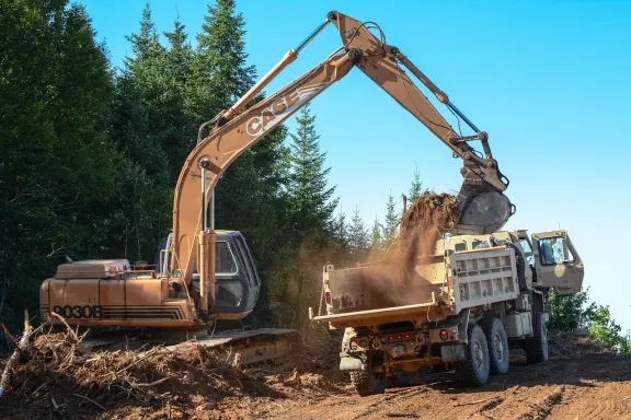 Dendy Casino Suporte